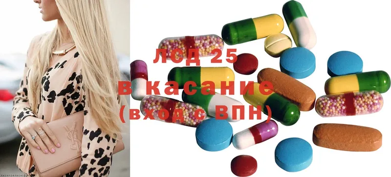 где купить наркотик  Каргополь  Лсд 25 экстази ecstasy 